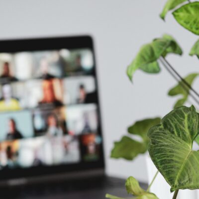 sigmund-YUuSAJkS3U4-unsplash Video call on a laptop beside a plant