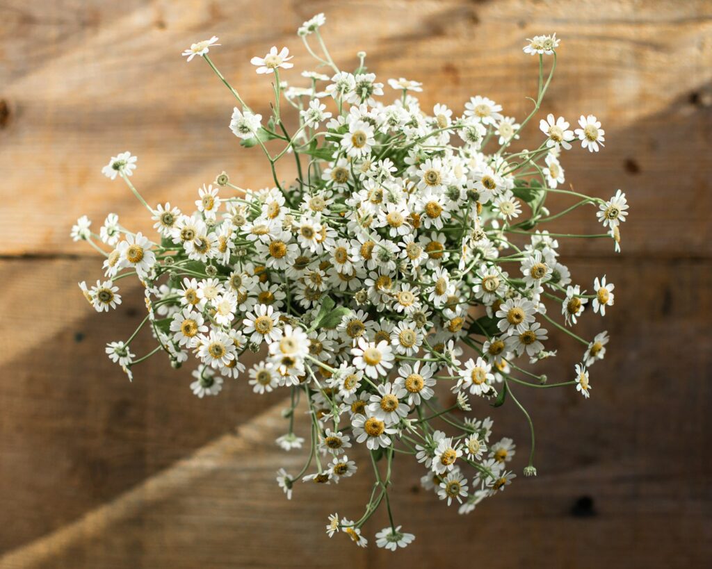 White flowers in remembrance of a loved one
